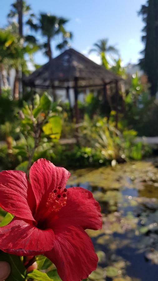 丰希罗拉Apartamento Con Vistas Al Campo De Golf Y Piscina公寓 外观 照片
